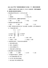 广西贵港市港南区2021-2022学年七年级下学期期末生物试卷(word版含答案)