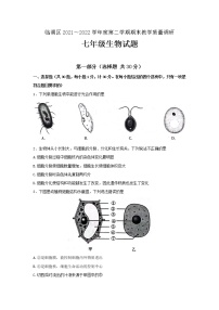 陕西省渭南市临渭区2021-2022学年七年级下学期期末教学质量调研生物试题(word版含答案)