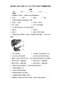 四川省广安市广安区2021-2022学年七年级下学期期末生物试题(word版含答案)