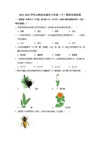 山西省运城市2021-2022学年八年级下学期期末生物试卷(word版含答案)