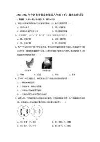 河北省保定市雄县2021-2022学年八年级下学期期末生物试卷(word版含答案)