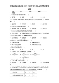 河南省周口市鹿邑县2021-2022学年八年级上学期期末生物试题(word版含答案)