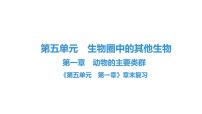 2021学年第一章   动物的主要类群综合与测试复习课件ppt