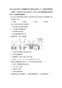 广东省梅州市五华县2021-2022学年七年级下学期期末生物试卷(word版含答案)