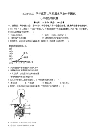 山东省聊城临清市2021-2022学年七年级下学期期末生物试题(word版含答案)