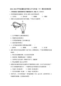 新疆克拉玛依九中2021-2022学年七年级下学期期末生物试卷(word版含答案)