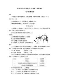 山东省招远市2021-2022学年七年级下学期期末考试生物试题(word版含答案)