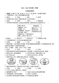 广东省韶关市新丰县2021-2022学年七年级下学期期末生物试题(word版含答案)