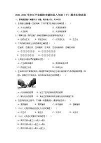 辽宁省朝阳市朝阳县2021-2022学年八年级下学期期末生物试卷(word版含答案)