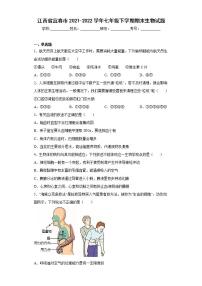 江西省宜春市2021-2022学年七年级下学期期末生物试题(word版含答案)