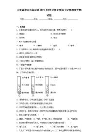 山东省济南市商河县2021-2022学年七年级下学期期末生物试题(word版含答案)