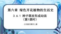 初中生物第三单元  生物圈中的绿色植物第6章  绿色开花植物的生活史第1节 种子萌发形成幼苗优秀ppt课件