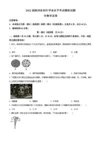 2022年西省渭南市富平县中考二模生物试题(word版含答案)