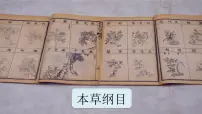 2021学年第五单元 生物多样性第十五章 生物多样性及其保护第一节 生物多样性试讲课课件ppt