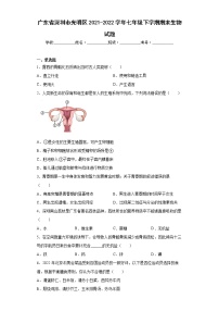 广东省深圳市光明区2021-2022学年七年级下学期期末生物试题(word版含答案)