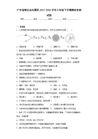 广东省肇庆市高要区2021-2022学年七年级下学期期末生物试题(word版含答案)