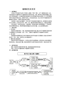 初中生物苏科版八年级上册第2节 	植物的生长发育教学设计