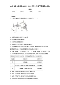 山东省烟台市招远市2021-2022学年七年级下学期期末生物试题(word版含答案)