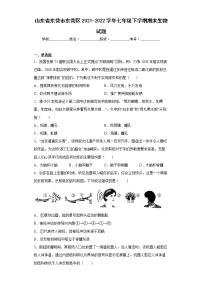 山东省东营市东营区2021-2022学年七年级下学期期末生物试题(word版含答案)