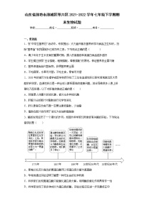 山东省潍坊市潍城区等六区2021-2022学年七年级下学期期末生物试题(word版含答案)