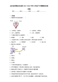 山东省日照市东港区2021-2022学年七年级下学期期末生物试题(word版含答案)