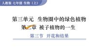初中人教版 (新课标)第三节 开花和结果图片ppt课件