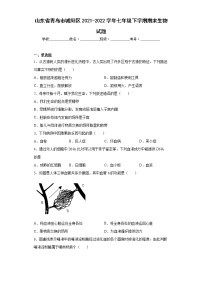 山东省青岛市城阳区2021-2022学年七年级下学期期末生物试题(word版含答案)