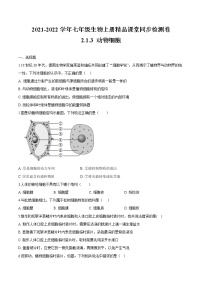 初中生物人教版 (新课标)七年级上册第三节 动物细胞优秀课后复习题