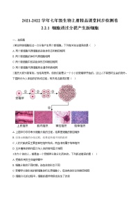 初中生物人教版 (新课标)七年级上册第一节 细胞通过分裂产生新细胞精品课后练习题