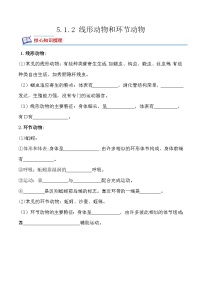 2020-2021学年第二节 线形动物和环节动物精品一课一练