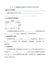 生物人教版 (新课标)第五单元 生物圈中的其他生物第四章  细菌和真菌第四节   细菌和真菌在自然界中的作用精品当堂达标检测题