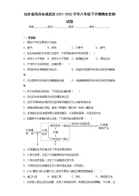 山东省菏泽市成武县2021-2022学年八年级下学期期末生物试题(word版含答案)