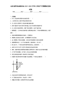 山东省青岛市胶州市2021-2022学年七年级下学期期末生物试题(word版含答案)