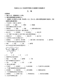 云南省昭通市巧家县2021-2022学年七年级下学期期中生物试题(word版含答案)