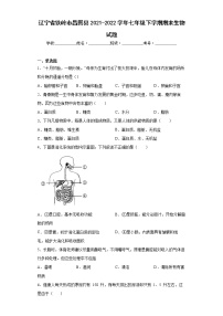 辽宁省铁岭市昌图县2021-2022学年七年级下学期期末生物试题(word版含答案)