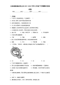 云南省昭通市绥江县2021-2022学年七年级下学期期中生物试题(含答案)