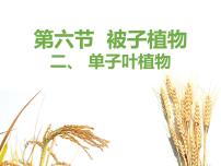 初中生物冀教版七年级上册第六节 被子植物教学演示课件ppt