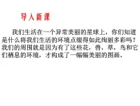 初中生物人教版 (新课标)七年级上册第一节 生物的特征示范课ppt课件