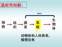 初中人教版 (新课标)第二单元 生物体的结构层次第二章 细胞怎样构成生物体第四节 单细胞生物课堂教学ppt课件