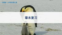 生物北师大版第19章  生物的生殖和发育综合与测试优秀ppt课件