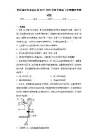 四川省泸州市合江县2021-2022学年七年级下学期期末生物试题(含答案)