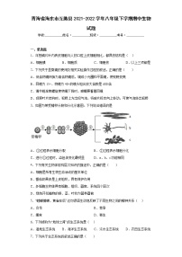 青海省海东市互助县2021-2022学年八年级下学期期中生物试题(含答案)