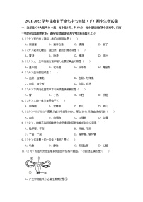 2021-2022学年甘肃省平凉七中七年级（下）期中生物试卷(含答案)