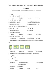 黑龙江省大庆市庆新中学2021-2022学年七年级下学期期中生物试题(含答案)