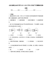 山东省烟台市牟平区2021-2022学年七年级下学期期末生物试题(含答案)