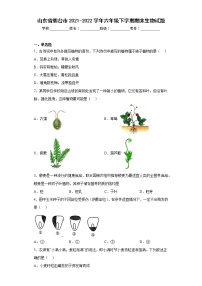 山东省烟台市2021-2022学年六年级下学期期末生物试题(含答案)