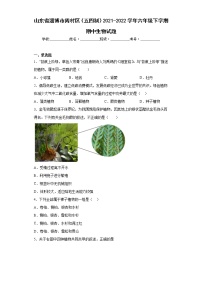 山东省淄博市周村区（五四制）2021-2022学年六年级下学期期中生物试题(含答案)