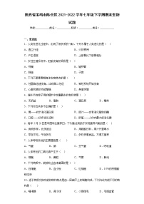 陕西省宝鸡市陈仓区2021-2022学年七年级下学期期末生物试题(含答案)