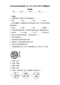 河北省石家庄市桥西区2021-2022学年七年级下学期期末生物试题(含答案)