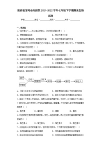 陕西省宝鸡市高新区2021-2022学年七年级下学期期末生物试题(含答案)